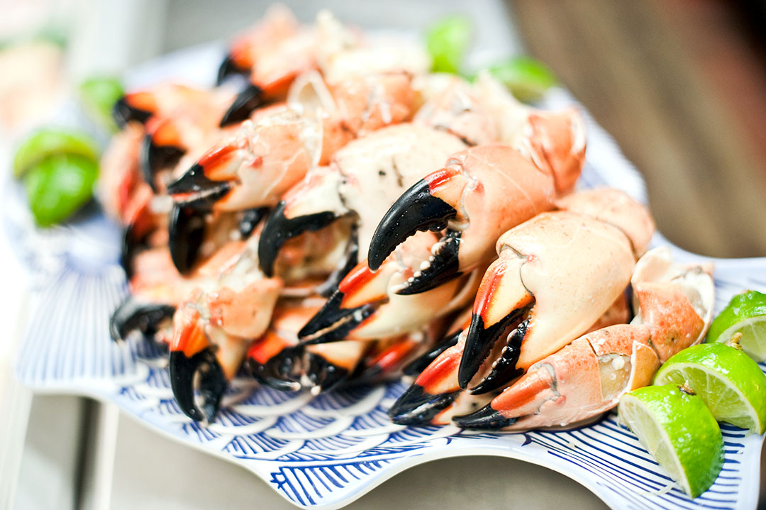 Stone Crabs